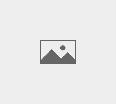 UAE Cybersecurity Council Urges Public to Boost Online Safety - PDF
